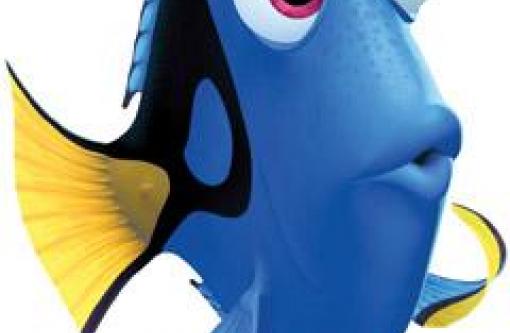 Detail Findet Nemo Qualle Nomer 4