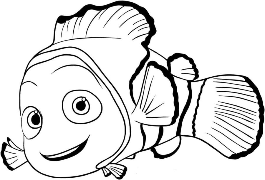Detail Findet Nemo Qualle Nomer 5