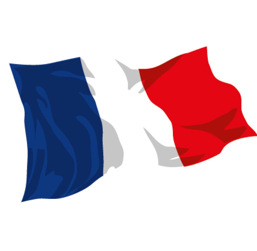 Detail Nationalflagge Von Frankreich Nomer 24