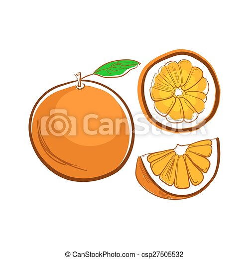 Detail Orange Gemalt Nomer 2