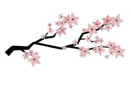 Detail Sakura Blume Nomer 2