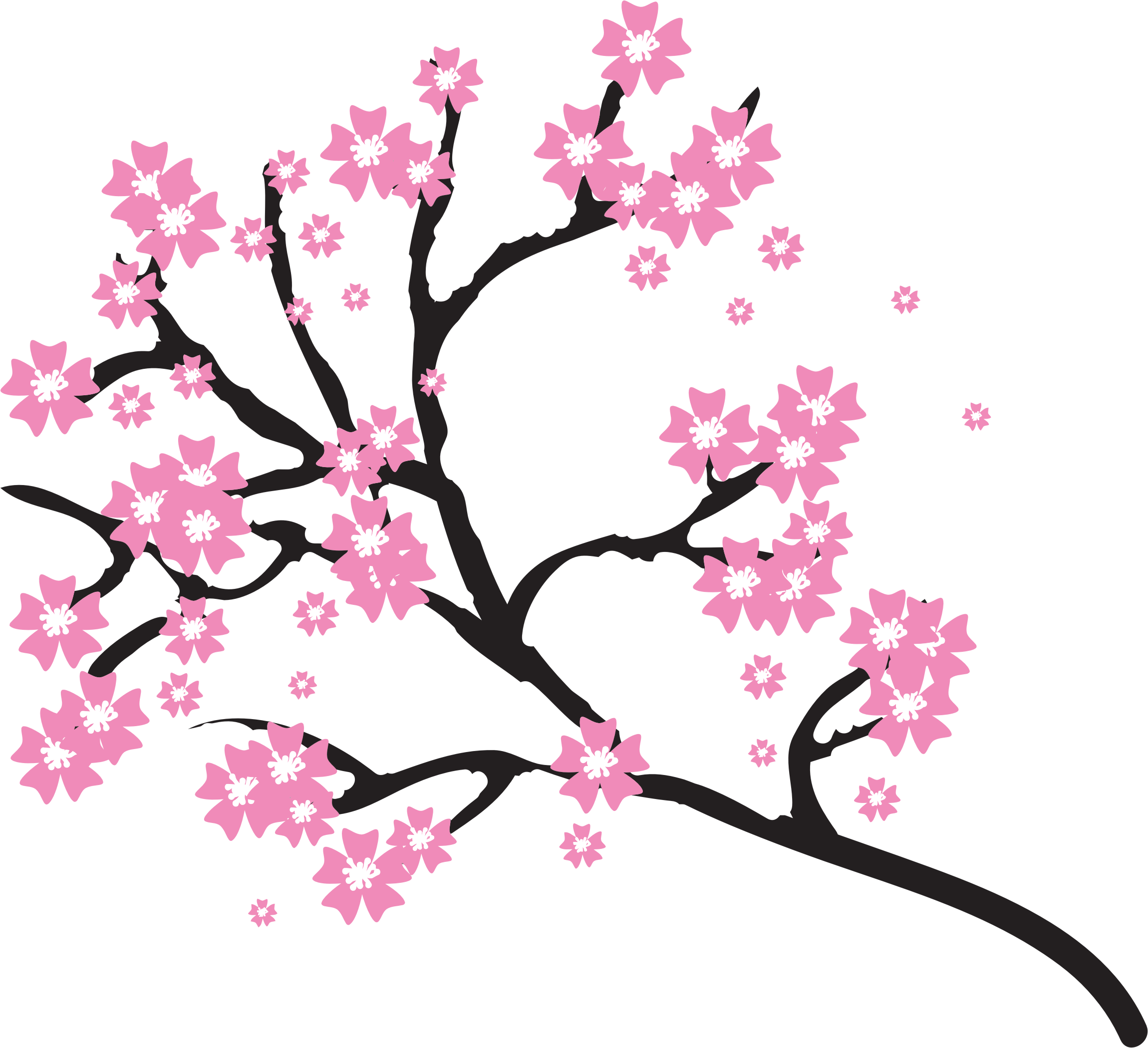 Detail Sakura Blume Nomer 13