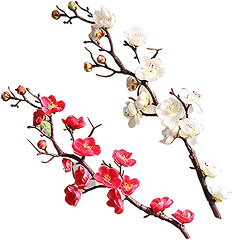 Detail Sakura Blume Nomer 15
