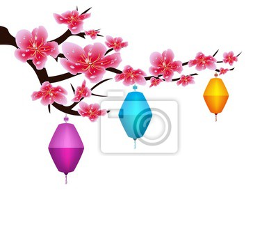 Detail Sakura Blume Nomer 16