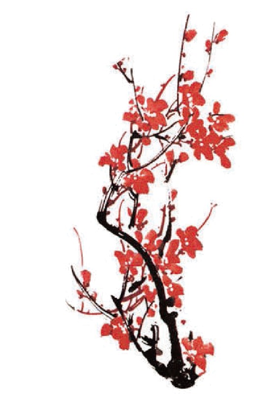Detail Sakura Blume Nomer 19