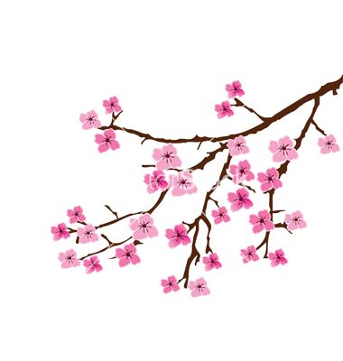 Detail Sakura Blume Nomer 6