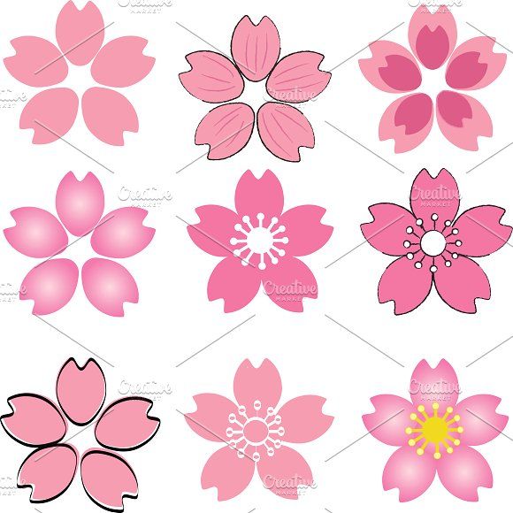 Detail Sakura Blume Nomer 8