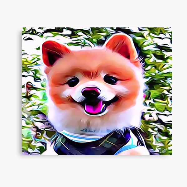 Detail Sims 4 Pomeranian Nomer 17