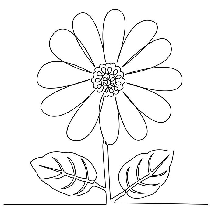 Detail Gambar Tangkai Bunga Nomer 31