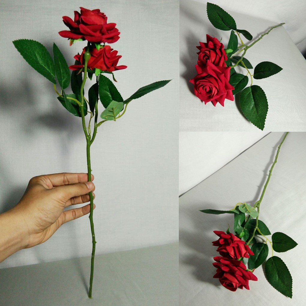 Detail Gambar Tangkai Bunga Mawar Nomer 21
