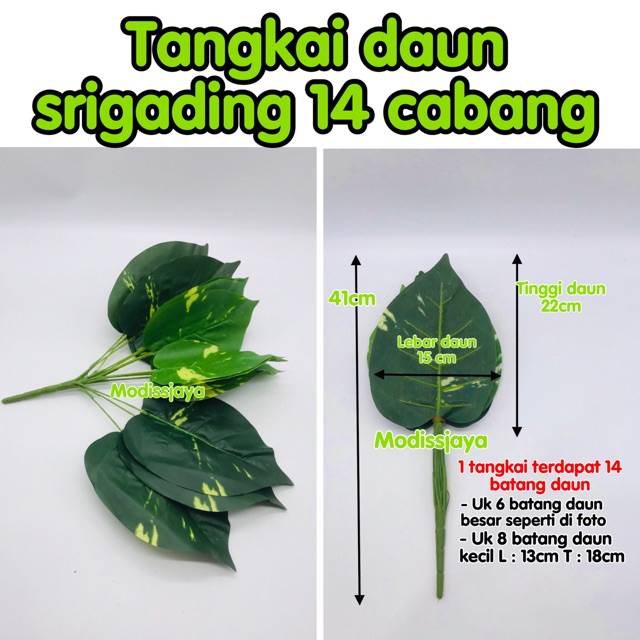 Detail Gambar Tangkai Daun Nomer 17