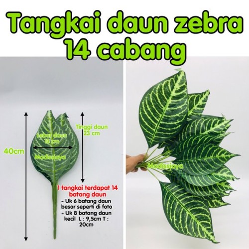 Detail Gambar Tangkai Daun Nomer 19