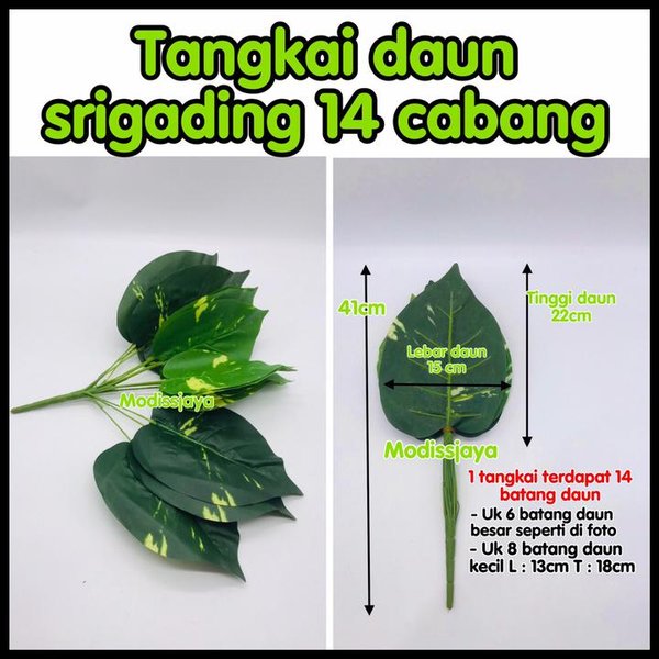 Detail Gambar Tangkai Daun Nomer 25