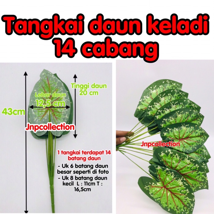 Detail Gambar Tangkai Daun Nomer 26