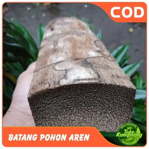 Detail Gambar Tangkai Kayu Nomer 51