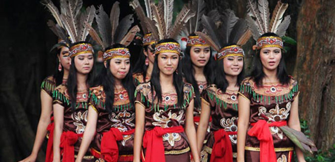 Detail Gambar Tari Dayak Nomer 37