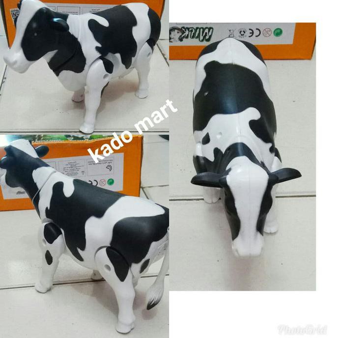 Detail Gambar Tarik Sapi Lucu Nomer 48