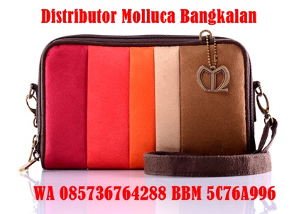 Detail Gambar Tas Molluca Nomer 59