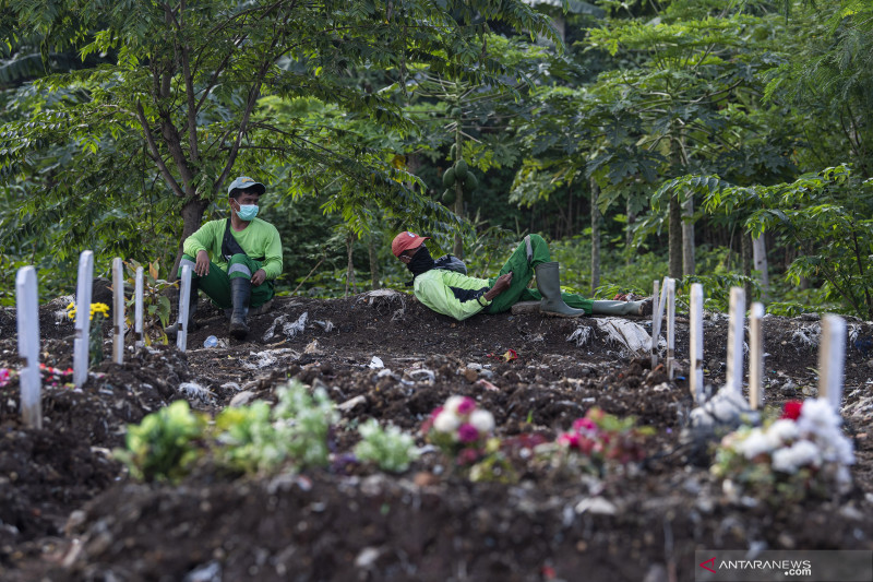 Detail Gambar Tata Letak Lahan Melon Nomer 33