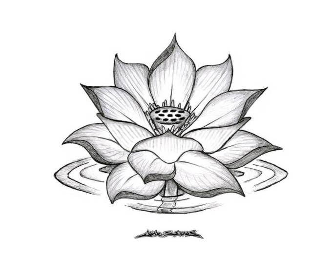 Detail Gambar Tato Bunga Lotus Nomer 3