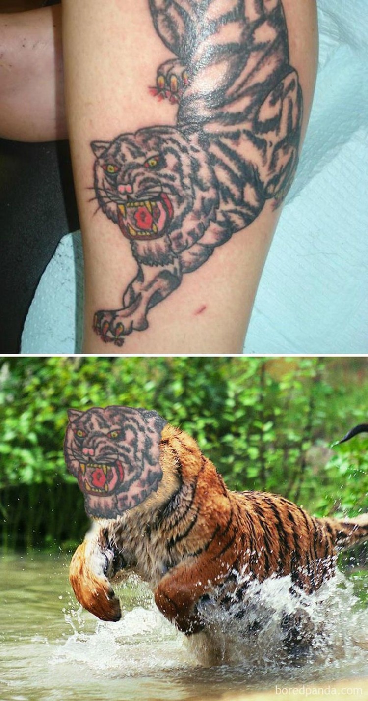 Detail Gambar Tato Harimau Nomer 25