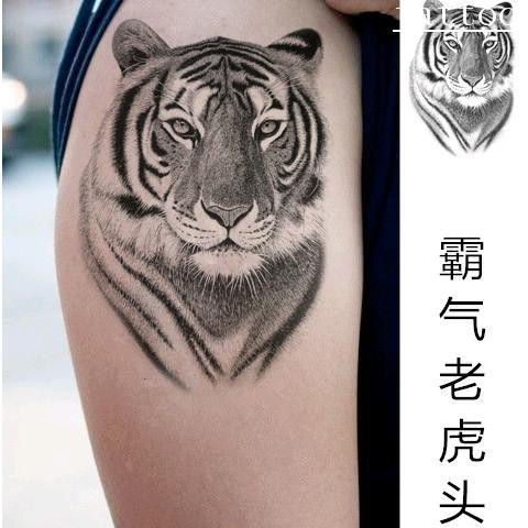 Detail Gambar Tato Harimau Nomer 10