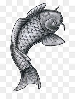 Detail Gambar Tato Ikan Koi Nomer 45