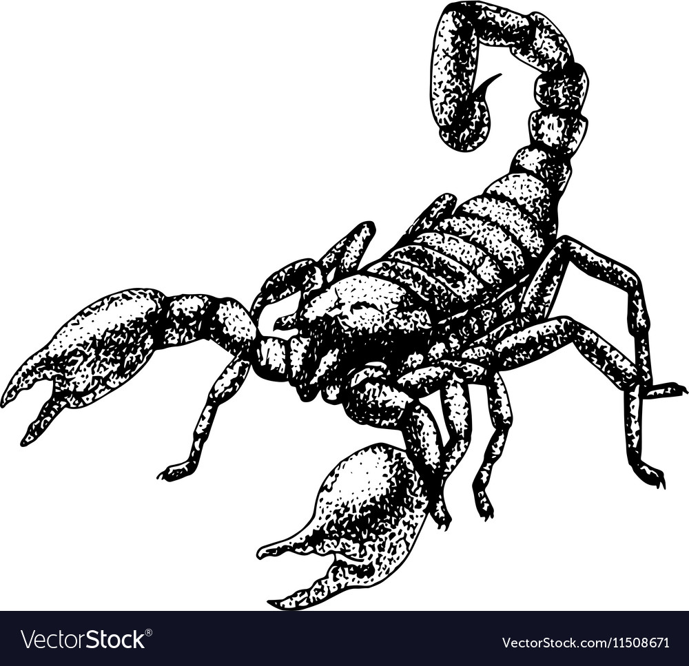 Detail Gambar Tato Scorpio Nomer 31