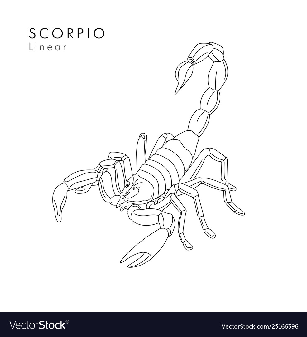 Detail Gambar Tato Scorpio Nomer 33