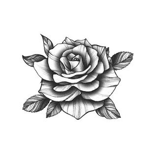 Detail Gambar Tato Setangkai Bunga Mawar Nomer 15
