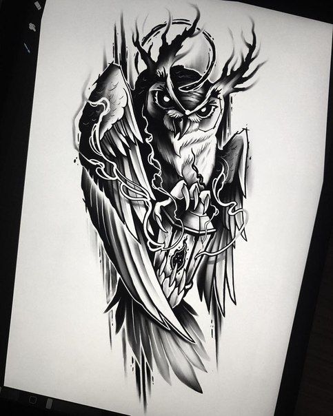 Detail Gambar Tatto Sketsa Burung Hantu Nomer 7