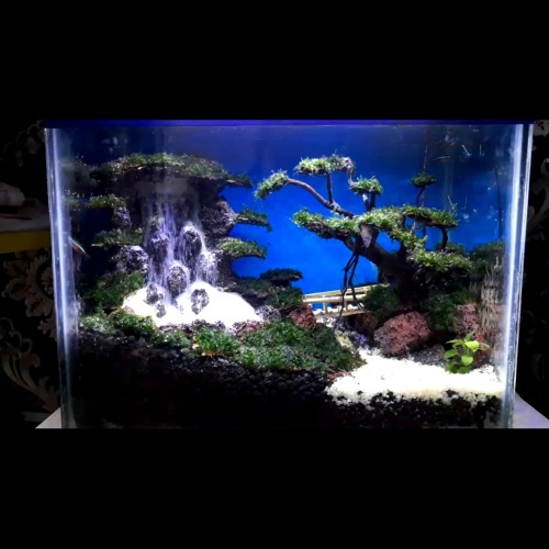 Detail Gambar Tebing Air Terjun Aquascape Nomer 30