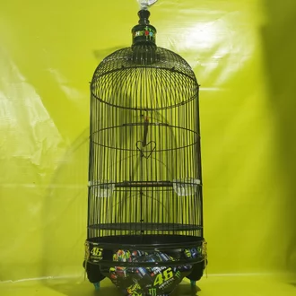 Detail Gambar Tebok Lovebird Cat Granit Nomer 40