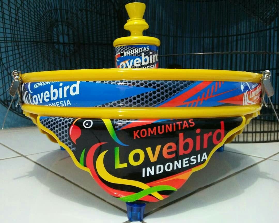 Detail Gambar Tebok Lovebird Png Nomer 20