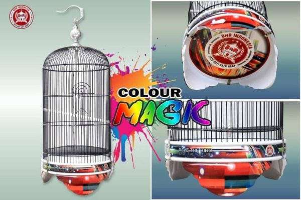 Detail Gambar Tebok Lovebird Terbaru Nomer 16