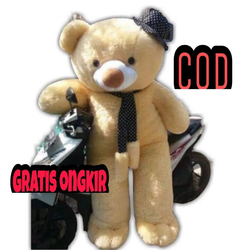 Detail Gambar Teddy Bear Besar Nomer 39