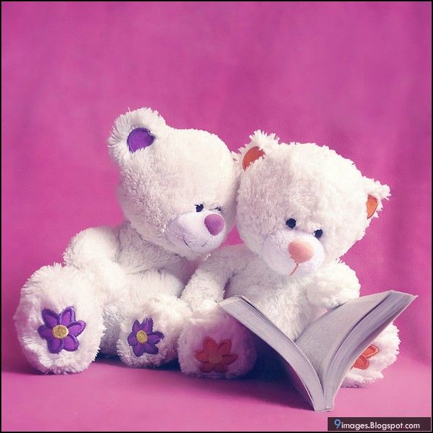 Detail Gambar Teddy Bear Cute Gambar Teddy Bear Cute Book Nomer 4