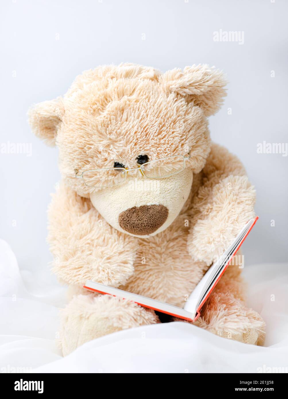 Detail Gambar Teddy Bear Cute Gambar Teddy Bear Cute Book Nomer 51