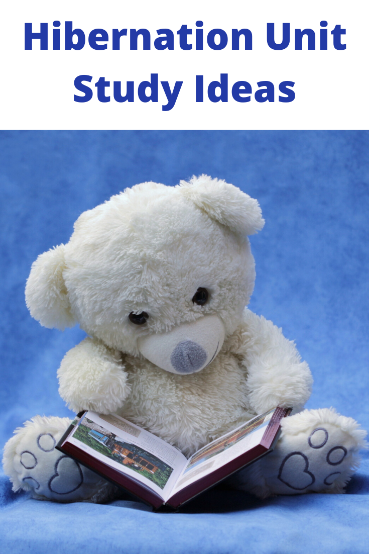 Gambar Teddy Bear Cute Gambar Teddy Bear Cute Study - KibrisPDR