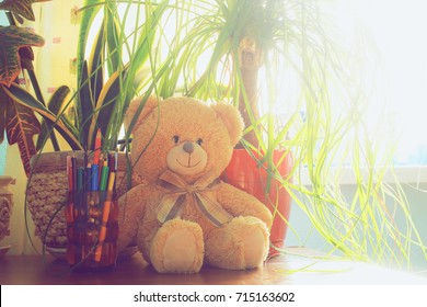 Detail Gambar Teddy Bear Cute Gambar Teddy Bear Cute Study Nomer 50