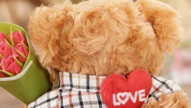 Detail Gambar Teddy Bear Romantis Nomer 31