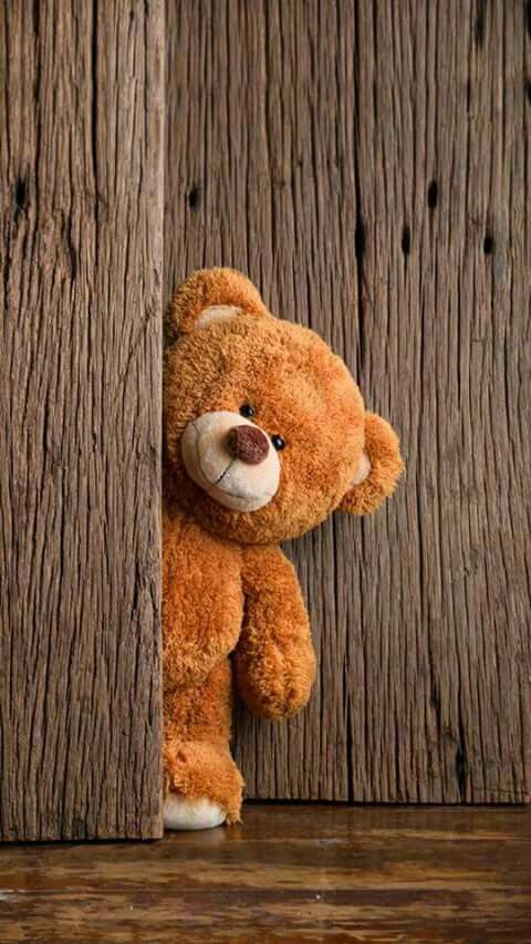 Gambar Teddy Bear Untuk Wallpaper - KibrisPDR