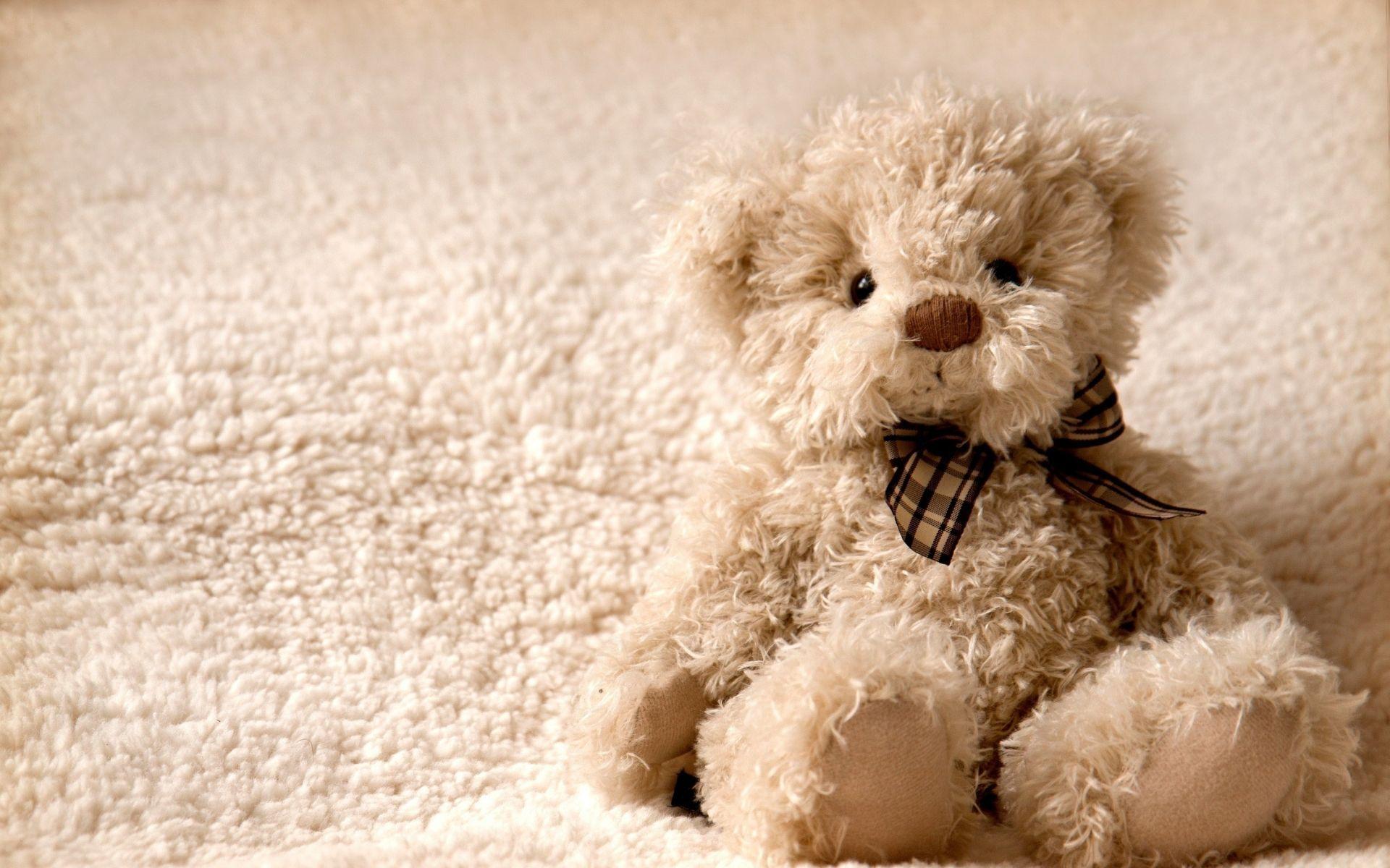 Detail Gambar Teddy Bear Untuk Wallpaper Nomer 14