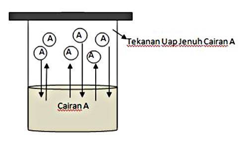 Detail Gambar Tekana Uap Nomer 16