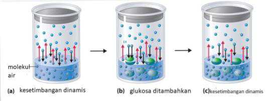 Detail Gambar Tekana Uap Nomer 51