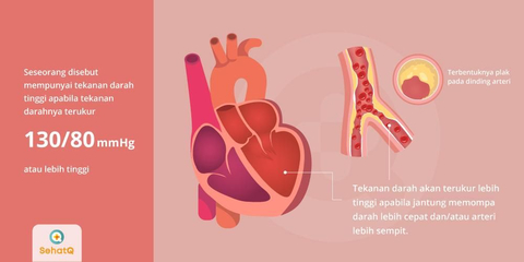 Detail Gambar Tekanan Darah Nomer 17