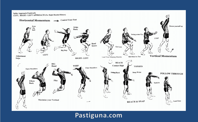 Detail Gambar Teknik Dasar Bola Voli Nomer 30