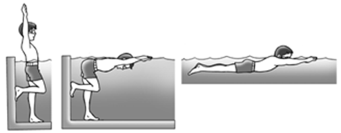Detail Gambar Teknik Dasar Renang Nomer 19