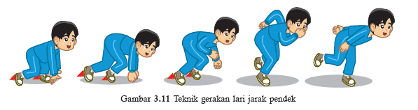 Detail Gambar Teknik Lari Jarak Pendek Nomer 16