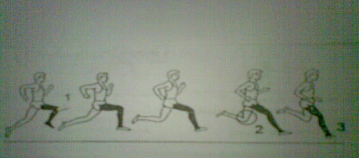 Detail Gambar Teknik Lari Jarak Pendek Nomer 48
